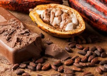 Cacao : la Côte d’Ivoire gagne t&rsquo;elle le bras de fer sur l’or brun ?